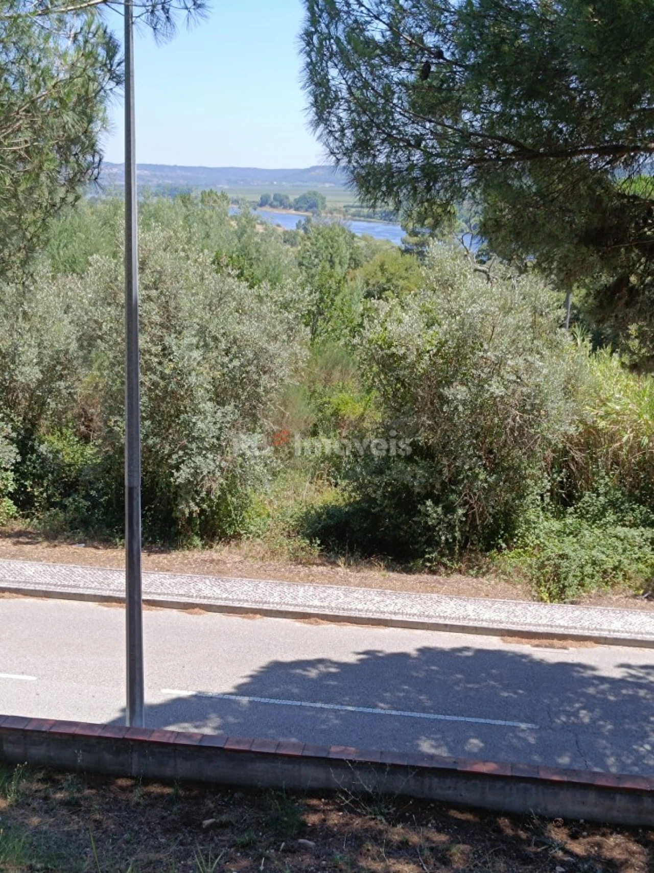 Terreno para Venda em Constancia Foto 3