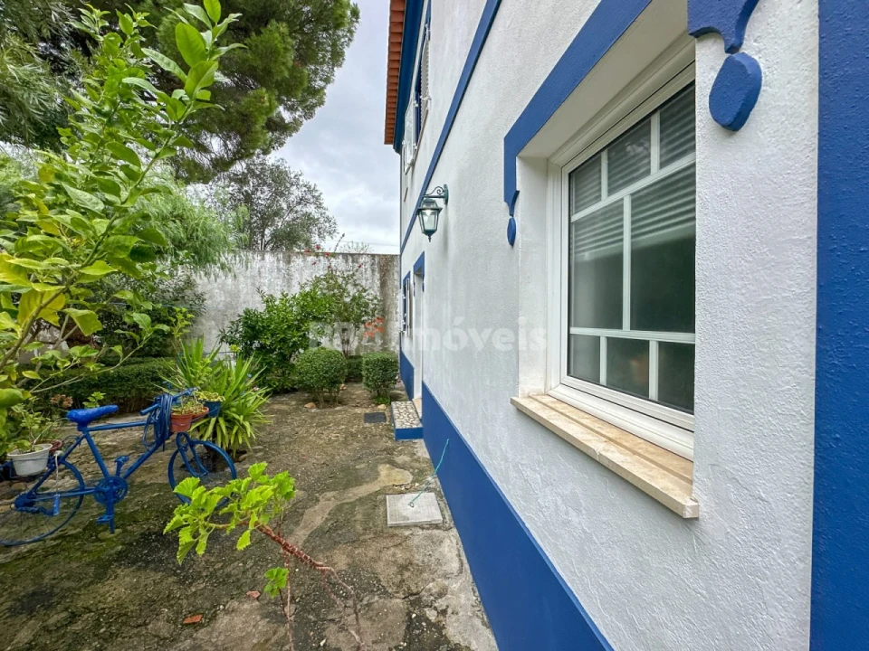 Moradia T3 para Venda em Chamusca e Pinheiro Grande Foto 63