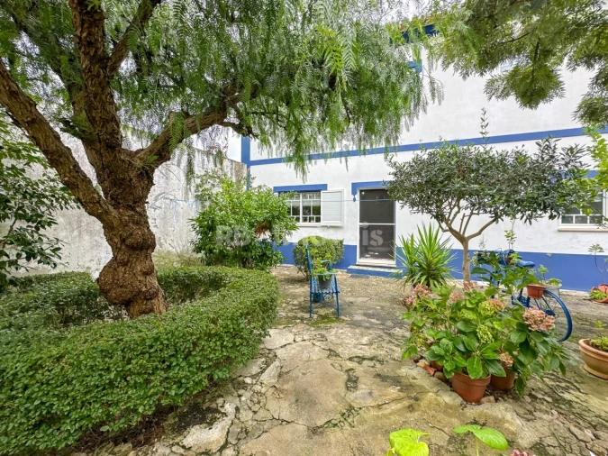 Moradia T3 para Venda em Chamusca e Pinheiro Grande Foto 61