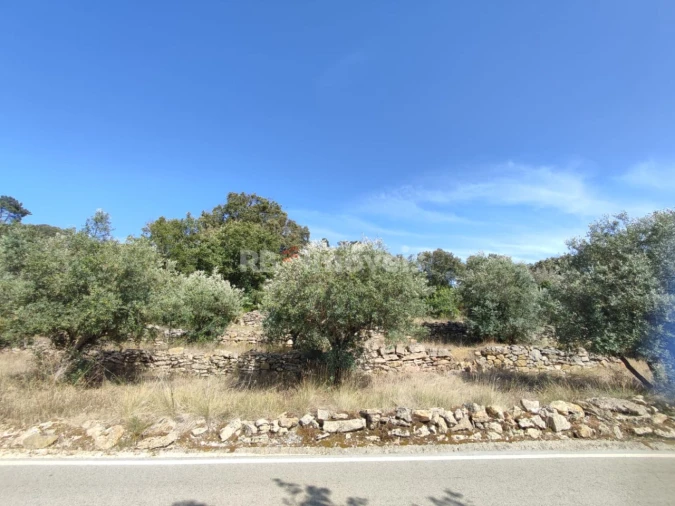 Terreno para Venda em Além da Ribeira e Pedreira Foto 5