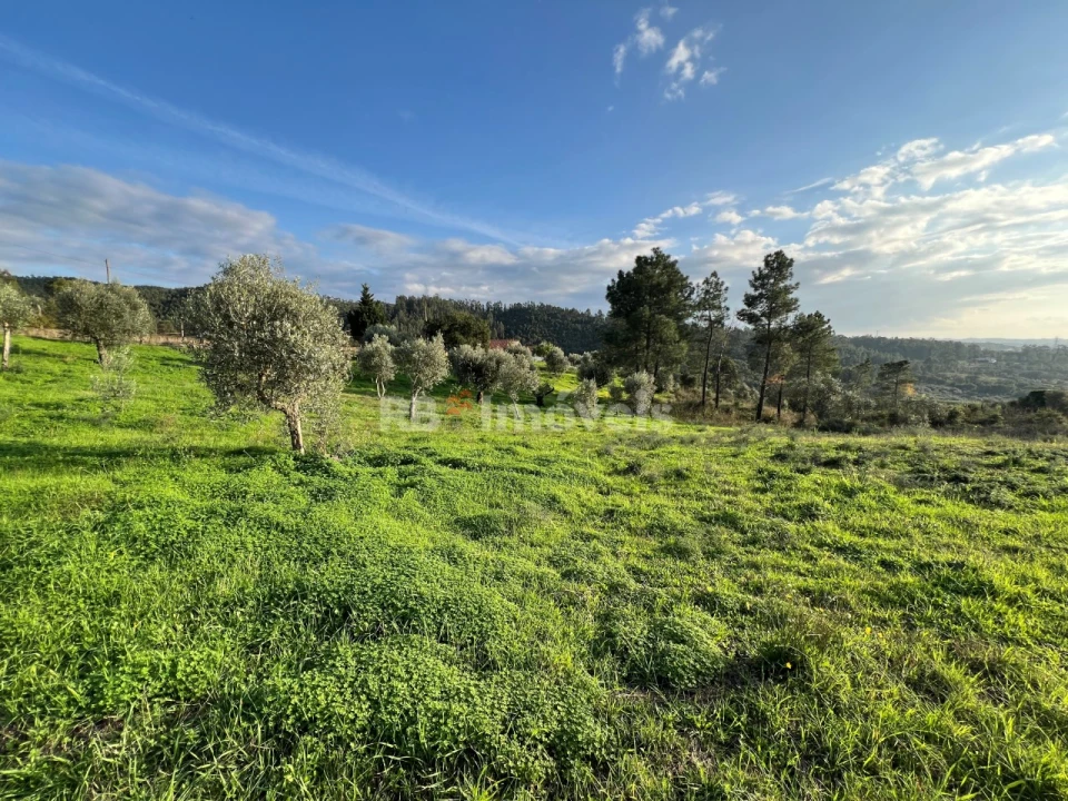 Terreno para Venda em Serra e Junceira Foto 4