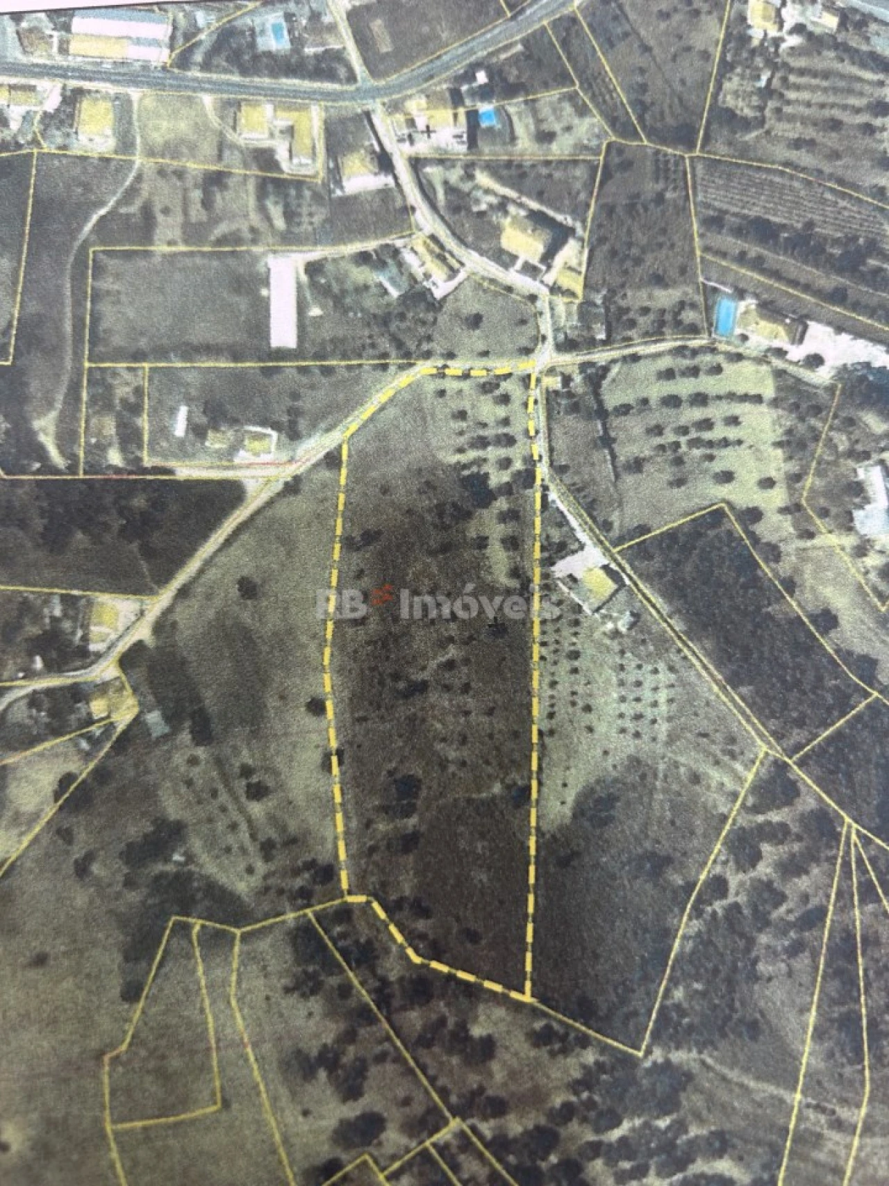 Terreno para Venda em Serra e Junceira Foto 18