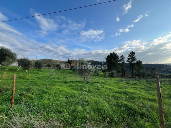Terreno para Venda em Serra e Junceira Foto 1