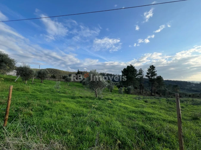 Terreno para Venda em Serra e Junceira Foto 8