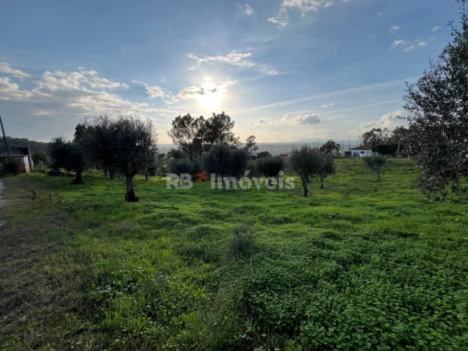 Terreno para Venda em Serra e Junceira Foto 5