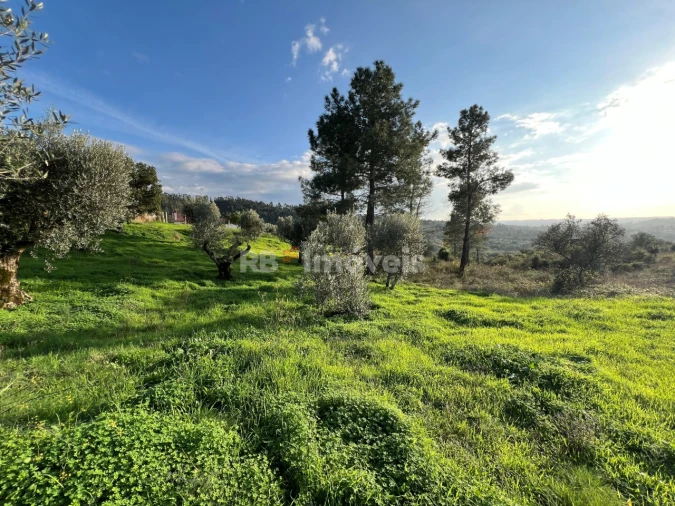 Terreno para Venda em Serra e Junceira Foto 17