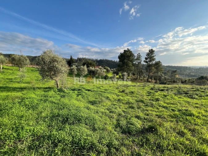 Terreno para Venda em Serra e Junceira Foto 4