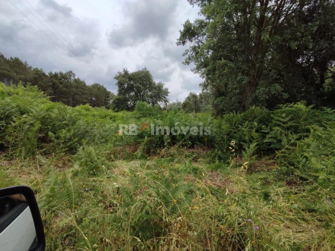 Terreno para Venda em Igreja Nova do Sobral Foto 4