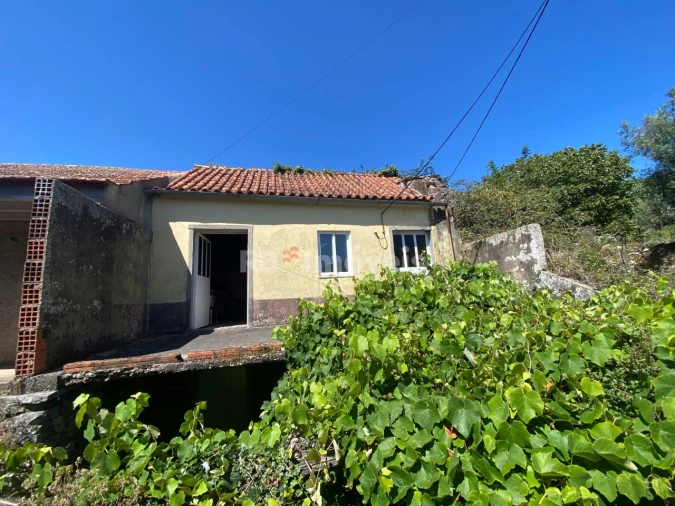 Terreno para Venda em Espinhal Foto 2