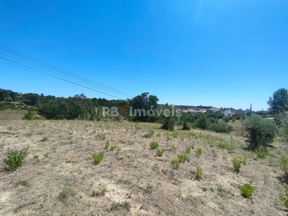 Terreno Agricola ou Rústico para Venda em Carregueiros Foto 2