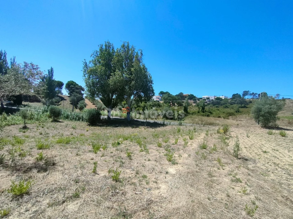Terreno Agricola ou Rústico para Venda em Carregueiros Foto 6