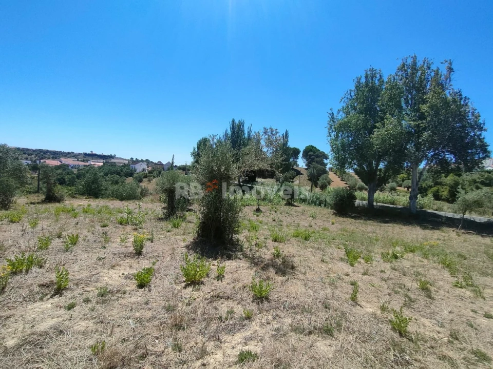 Terreno Agricola ou Rústico para Venda em Carregueiros Foto 5