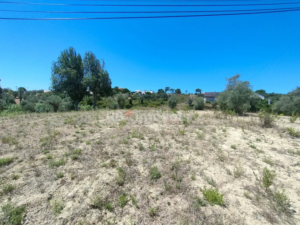 Terreno Agricola ou Rústico para Venda em Carregueiros Foto 8