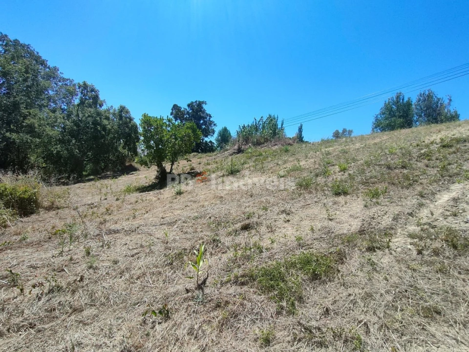 Terreno Agricola ou Rústico para Venda em Carregueiros Foto 11