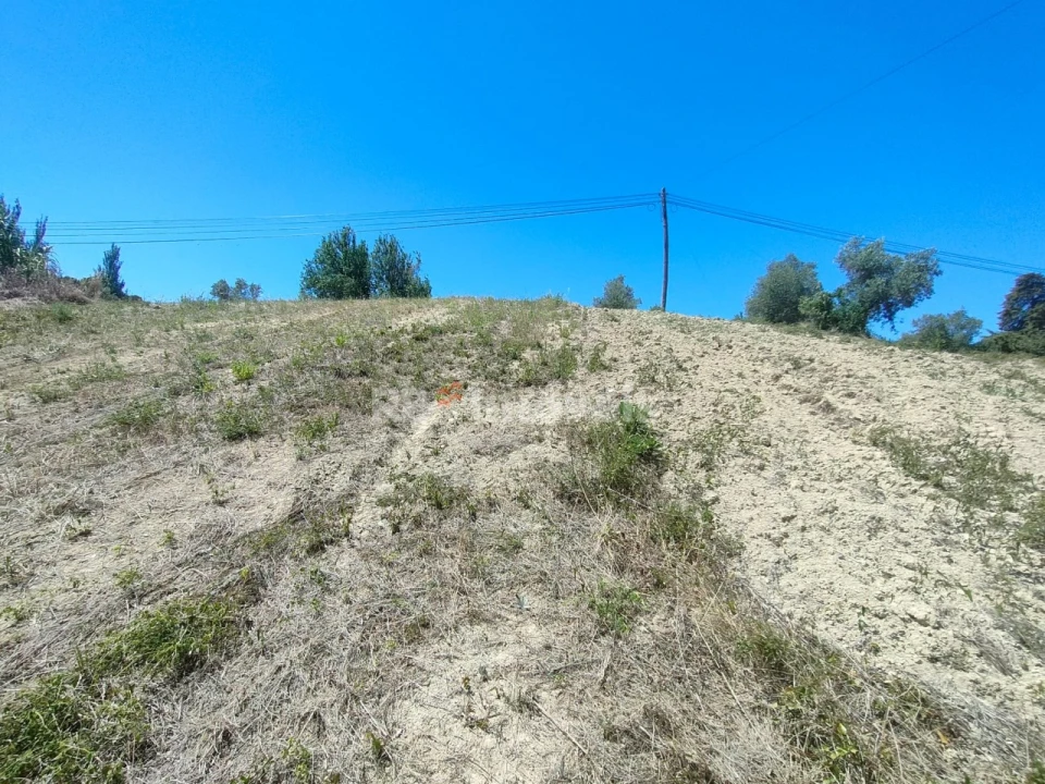 Terreno Agricola ou Rústico para Venda em Carregueiros Foto 1