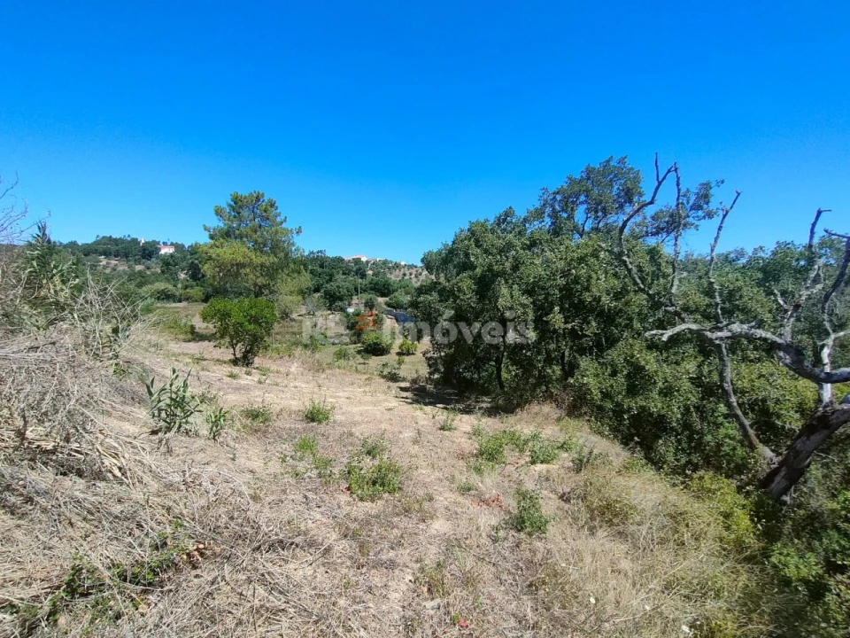 Terreno Agricola ou Rústico para Venda em Carregueiros Foto 17