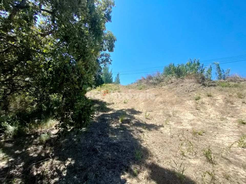 Terreno Agricola ou Rústico para Venda em Carregueiros Foto 18