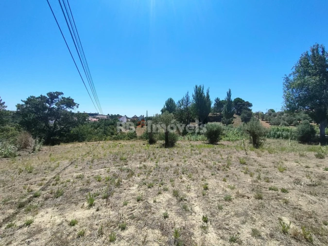 Terreno Agricola ou Rústico para Venda em Carregueiros Foto 7