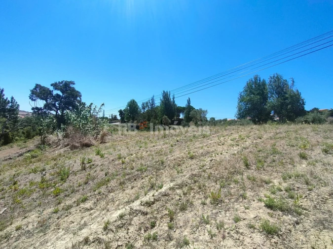 Terreno Agricola ou Rústico para Venda em Carregueiros Foto 3