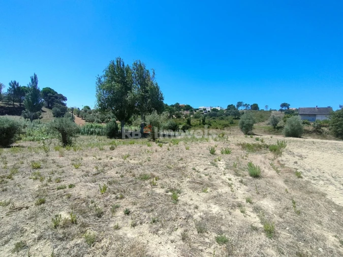 Terreno Agricola ou Rústico para Venda em Carregueiros Foto 10