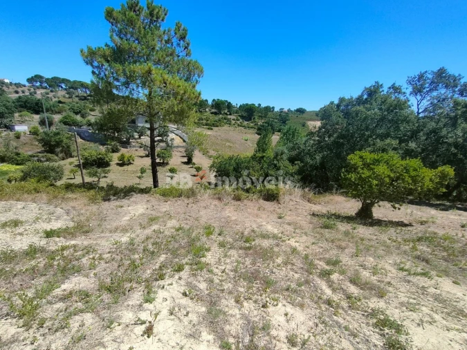 Terreno Agricola ou Rústico para Venda em Carregueiros Foto 4