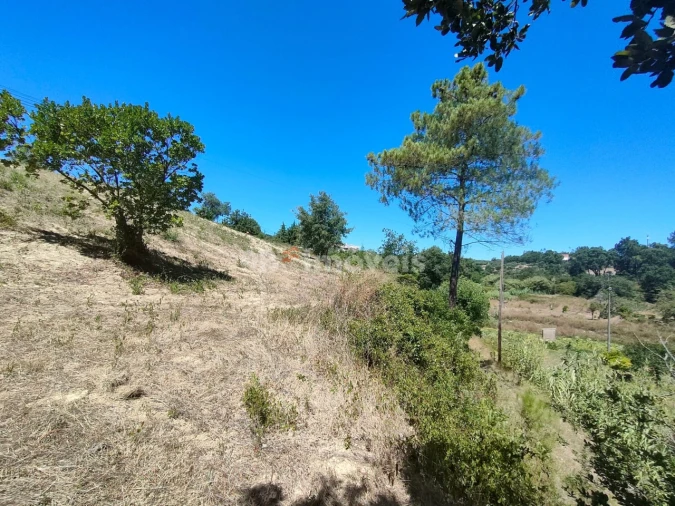 Terreno Agricola ou Rústico para Venda em Carregueiros Foto 9