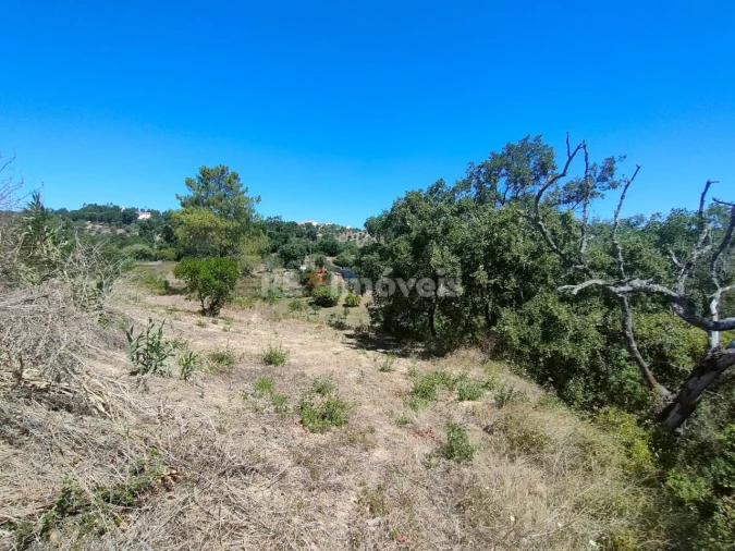 Terreno Agricola ou Rústico para Venda em Carregueiros Foto 17