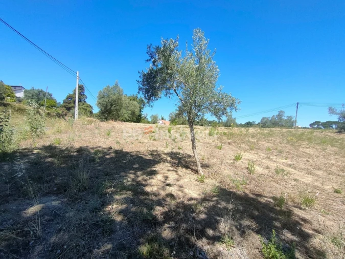 Terreno Agricola ou Rústico para Venda em Carregueiros Foto 12