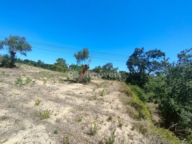 Terreno Agricola ou Rústico para Venda em Carregueiros Foto 13
