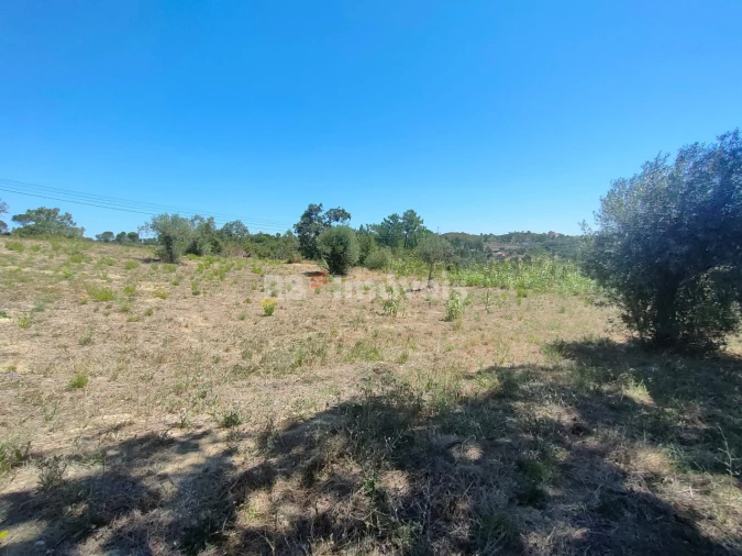 Terreno Agricola ou Rústico para Venda em Carregueiros Foto 14