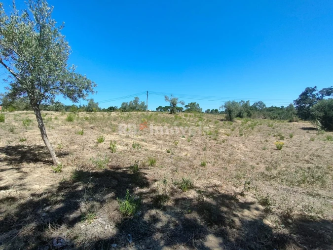 Terreno Agricola ou Rústico para Venda em Carregueiros Foto 15