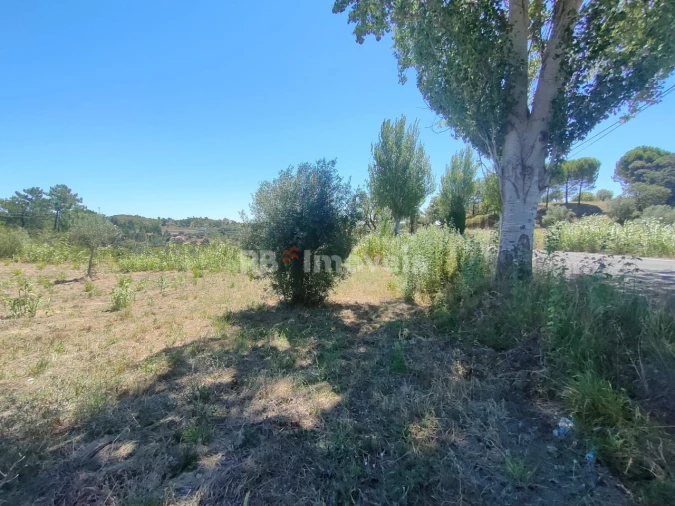 Terreno Agricola ou Rústico para Venda em Carregueiros Foto 16