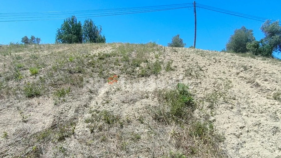 Terreno Agricola ou Rústico para Venda em Carregueiros