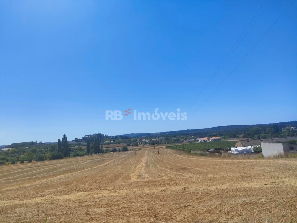 Terreno Agricola ou Rústico para Venda em São João Baptista e Santa Maria dos Olivais Foto 1