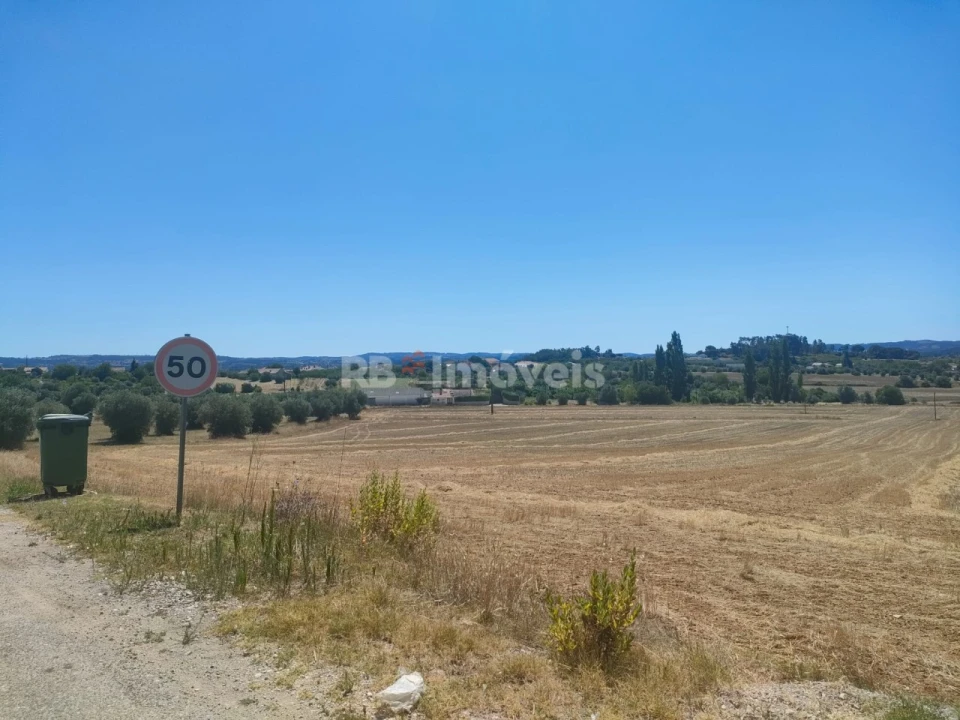 Terreno Agricola ou Rústico para Venda em São João Baptista e Santa Maria dos Olivais Foto 9