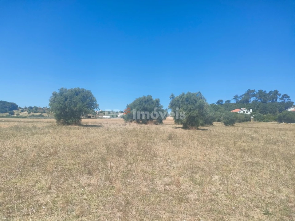 Terreno Agricola ou Rústico para Venda em São João Baptista e Santa Maria dos Olivais Foto 12