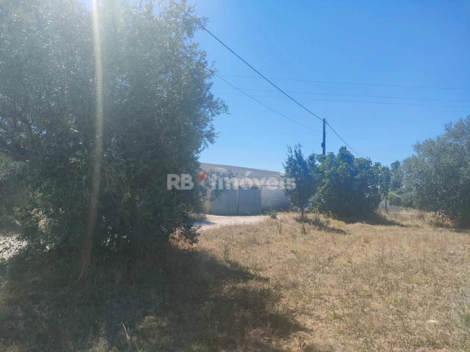Terreno Agricola ou Rústico para Venda em São João Baptista e Santa Maria dos Olivais Foto 13