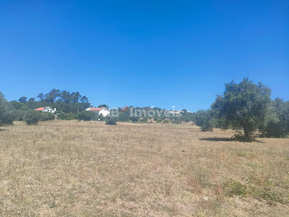 Terreno Agricola ou Rústico para Venda em São João Baptista e Santa Maria dos Olivais Foto 7