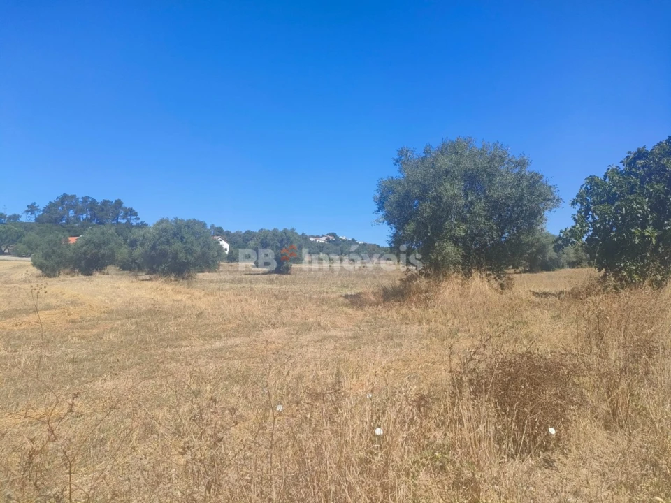 Terreno Agricola ou Rústico para Venda em São João Baptista e Santa Maria dos Olivais Foto 11