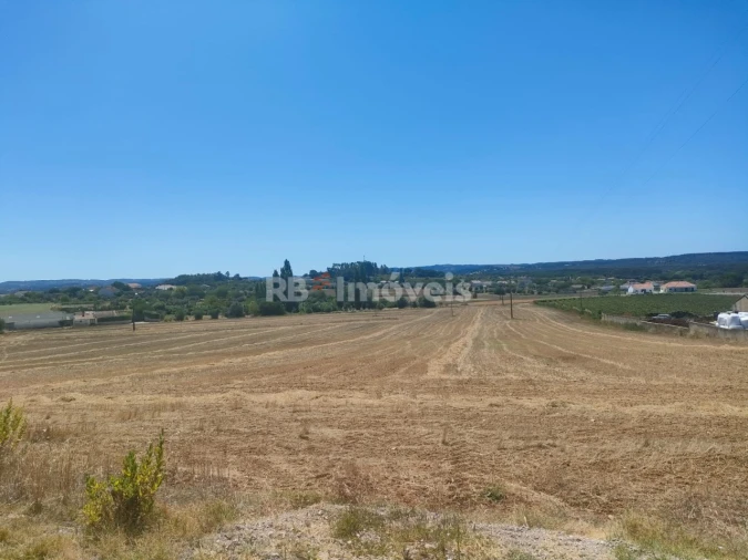 Terreno Agricola ou Rústico para Venda em São João Baptista e Santa Maria dos Olivais Foto 4