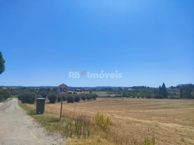 Terreno Agricola ou Rústico para Venda em São João Baptista e Santa Maria dos Olivais Foto 6