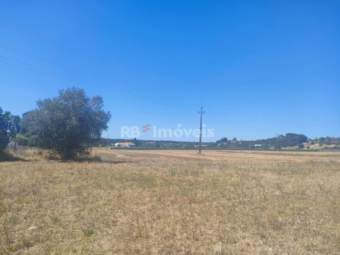 Terreno Agricola ou Rústico para Venda em São João Baptista e Santa Maria dos Olivais Foto 3