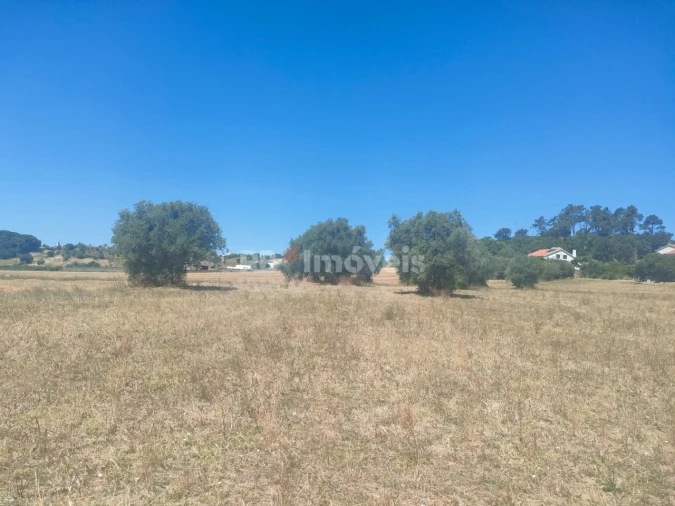 Terreno Agricola ou Rústico para Venda em São João Baptista e Santa Maria dos Olivais Foto 12
