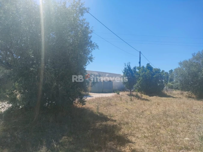 Terreno Agricola ou Rústico para Venda em São João Baptista e Santa Maria dos Olivais Foto 13