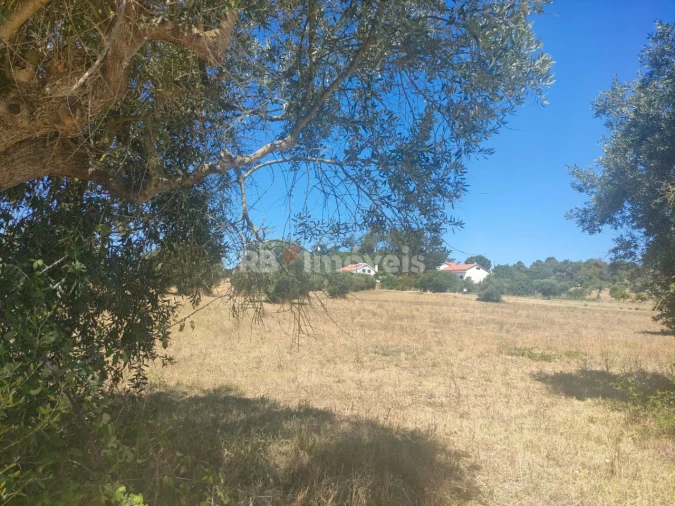 Terreno Agricola ou Rústico para Venda em São João Baptista e Santa Maria dos Olivais Foto 5