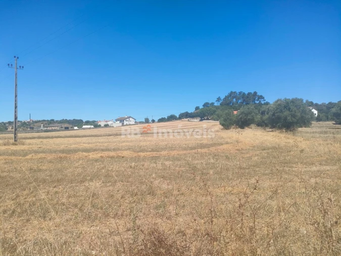 Terreno Agricola ou Rústico para Venda em São João Baptista e Santa Maria dos Olivais Foto 16