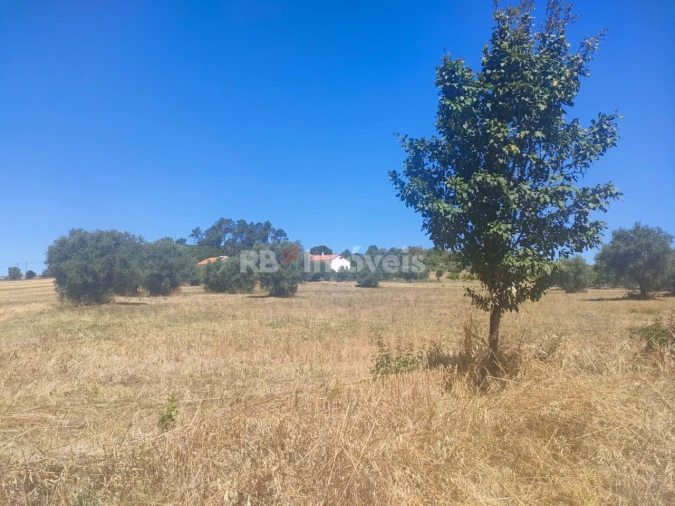 Terreno Agricola ou Rústico para Venda em São João Baptista e Santa Maria dos Olivais Foto 17