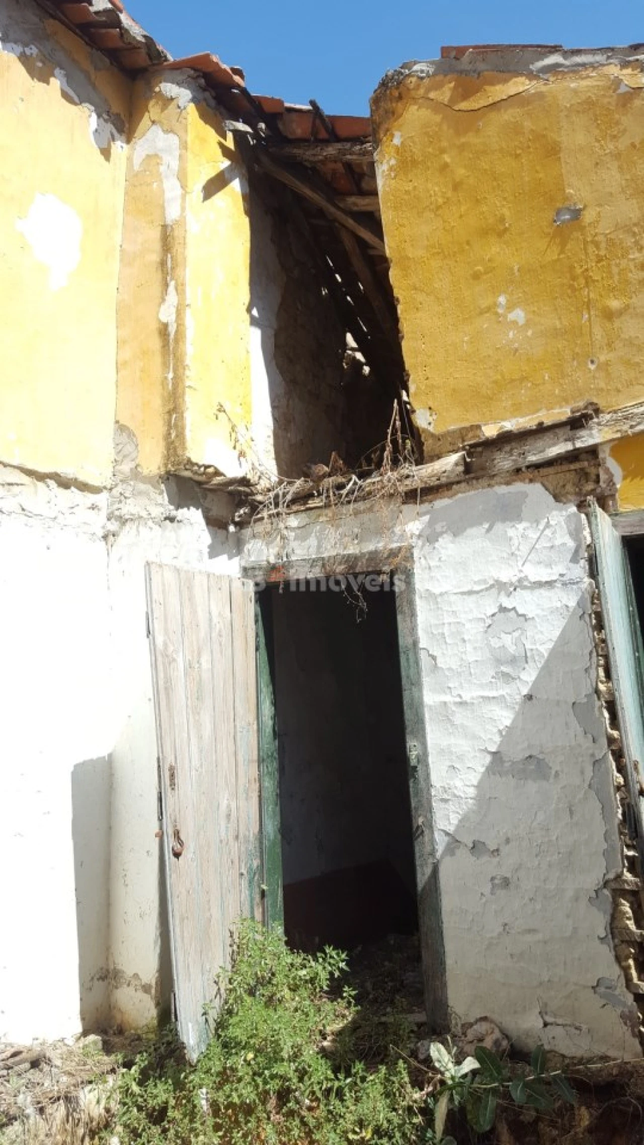 Terreno para Venda em Torres Novas (Santa Maria, Salvador e Santiago) Foto 4