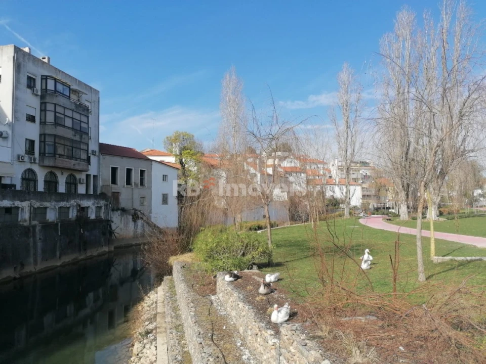 Terreno para Venda em Torres Novas (Santa Maria, Salvador e Santiago) Foto 8