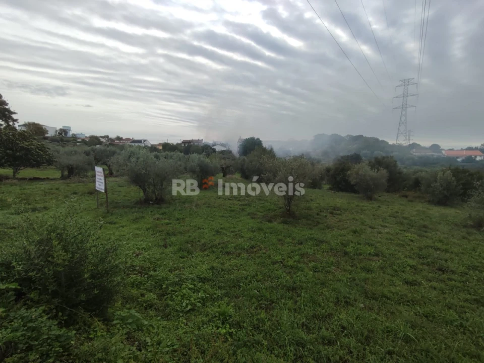 Terreno para Venda em Casais e Alviobeira Foto 8